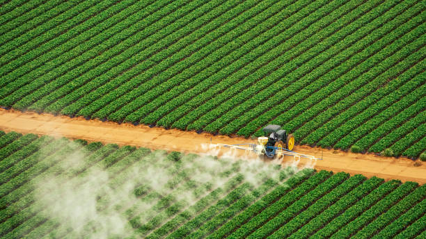 Best Best Pest Control Companies  in Lebanon, KY