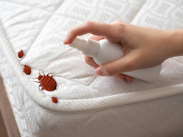 Best Pest Prevention Services  in Lebanon, KY