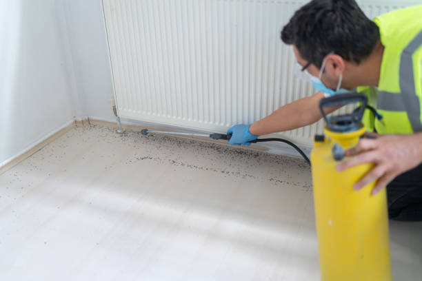 Best Residential Pest Control  in Lebanon, KY