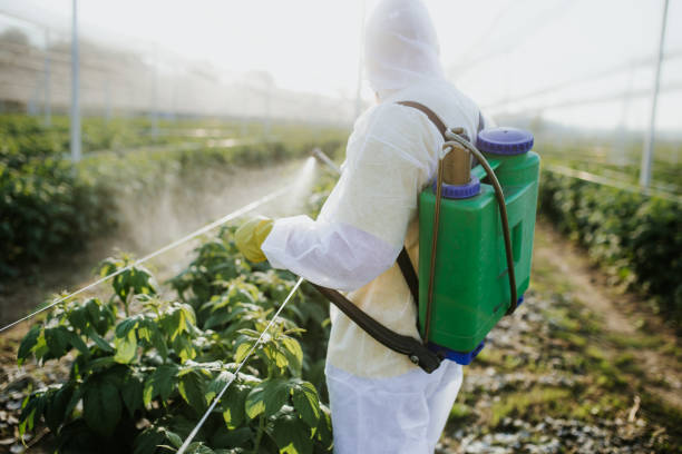  Lebanon, KY Pest Control Pros